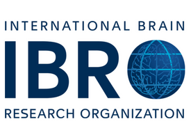 IBRO167.png