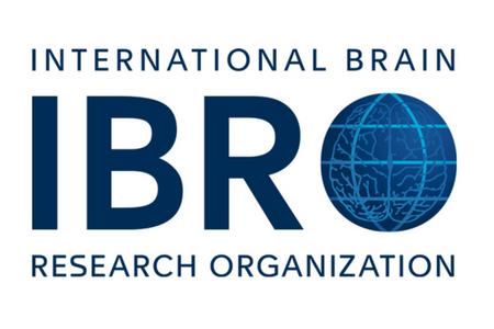 IBRO167.png