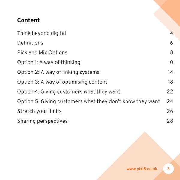 Digital transformation whitepaper page 3 preview.jpg