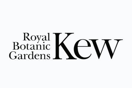 KEW215.png