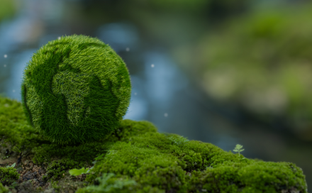 Green world.png