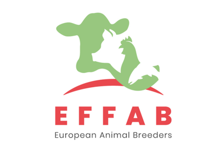 Logo-EFFAB-SQUARE-2022.png