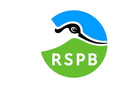 RSPB Logo.png
