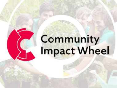 Community Impact Wheel