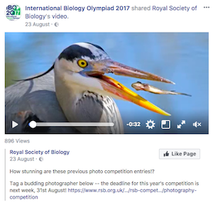 Facebook post generating lots of engagement