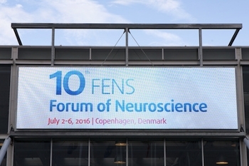 Forum - branding