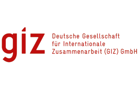 GIZ.png