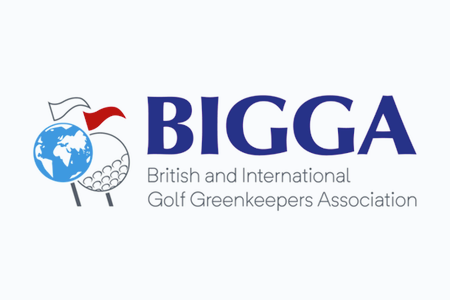 BIGGA281.png