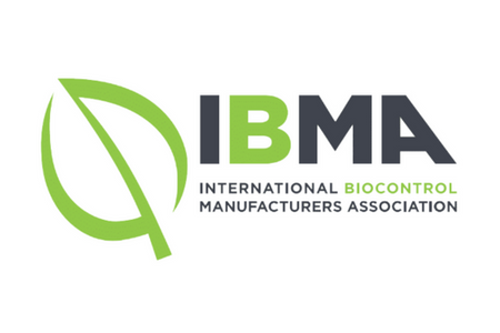 IBMA88.png